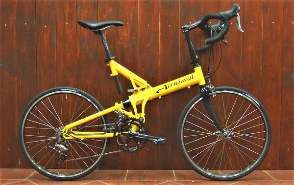 faltrad Liegerad Trike Lastenrad TRAIX